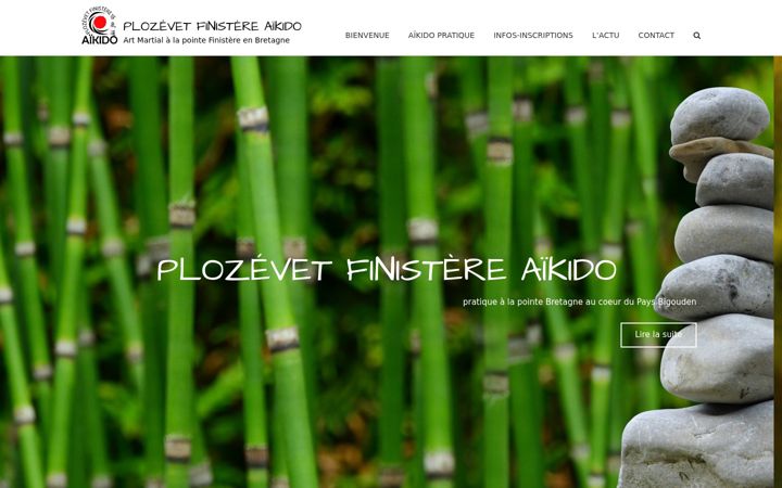 Screenshot of aikido29.net