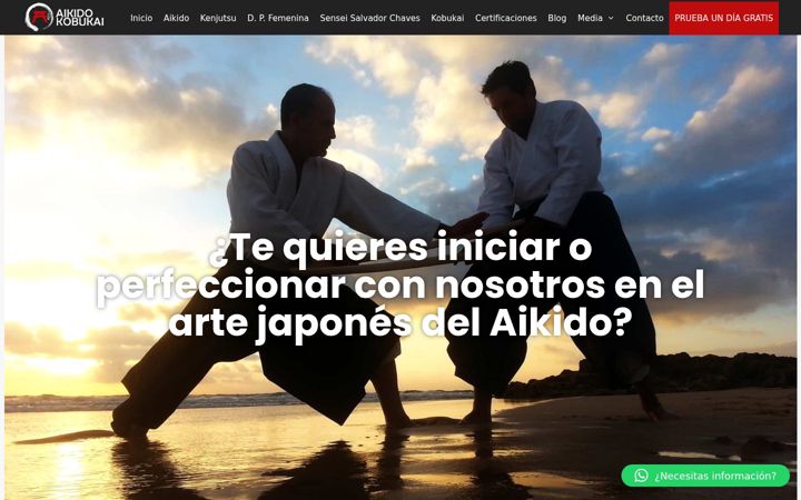 Ekrānuzņēmums no aikidokobukai.es
