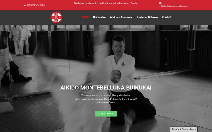 Screenshot of aikidomontebelluna.org
