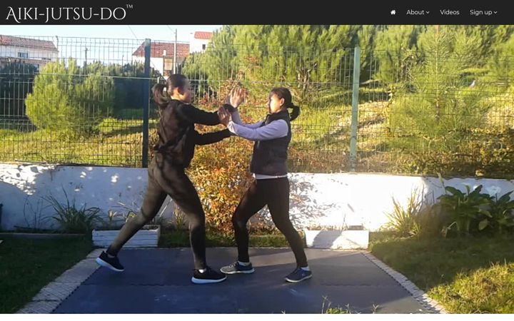 Screenshot of aikijutsudo.org