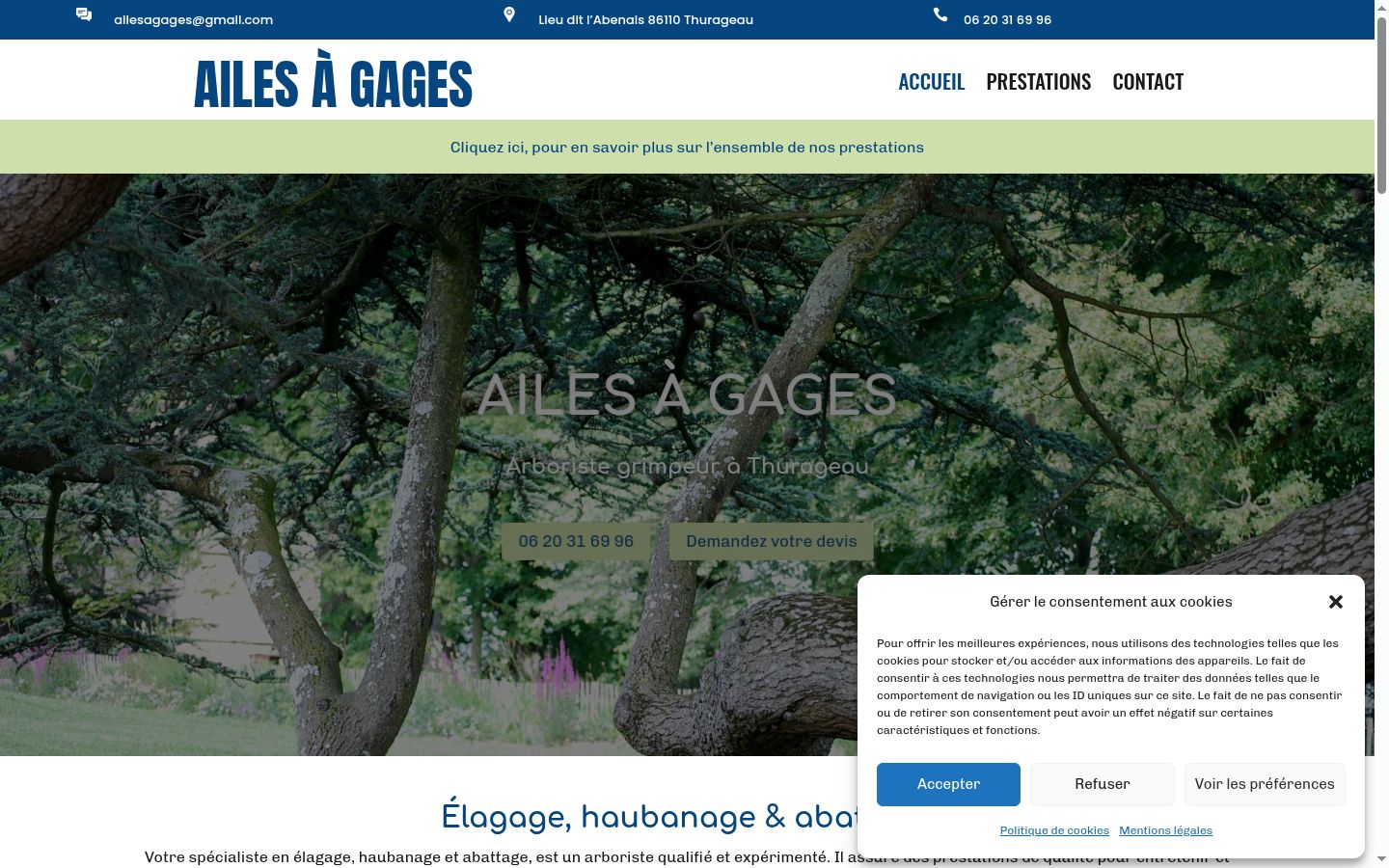 Screenshot of the consent banner shown before any interaction
