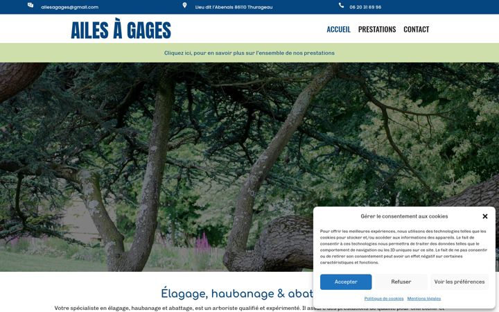 Screenshot of ailesagages86.fr