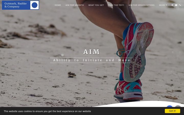Screenshot of aim-test.com