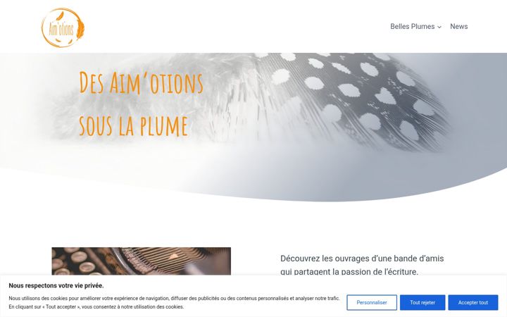 Screenshot of aimotions.be