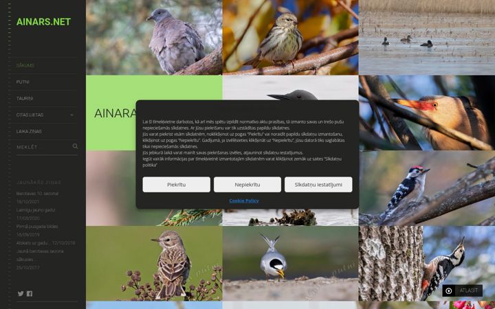 Screenshot of ainars.net