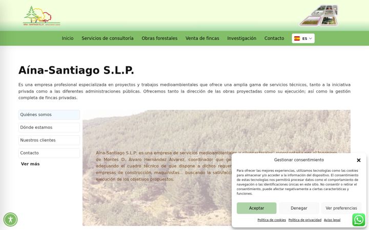 Screenshot of ainasantiago.es