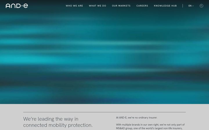 Screenshot of aioinissaydowa.eu