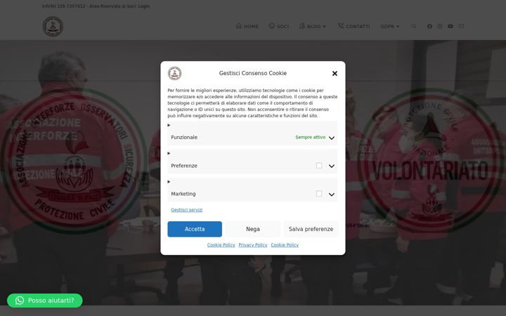 Screenshot of aiosprotezionecivile.com