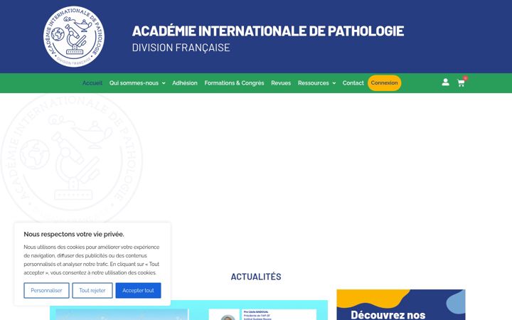 Screenshot of aip-df.com