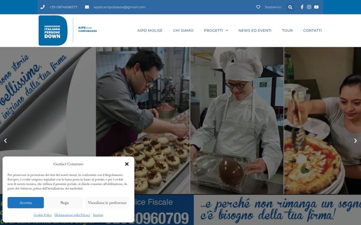 Screenshot of aipdmolise.com