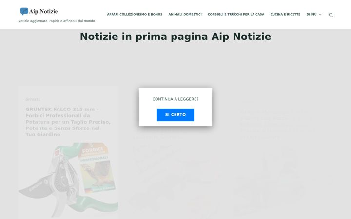 Screenshot of aipma.it