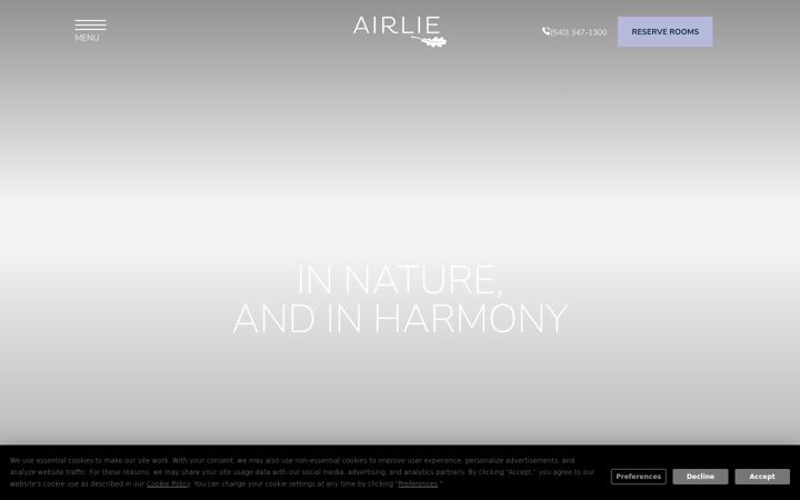 Screenshot of airlie.com
