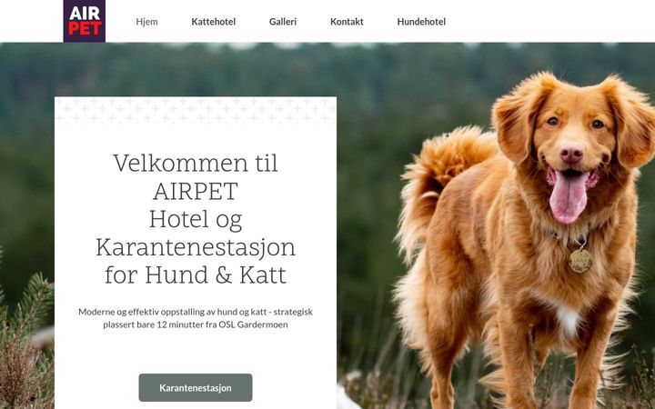 Screenshot of airpet.no