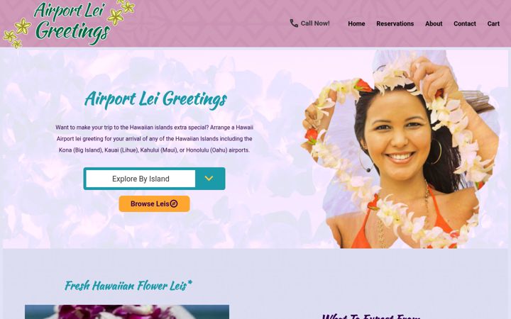 Screenshot of airportleigreetings.com