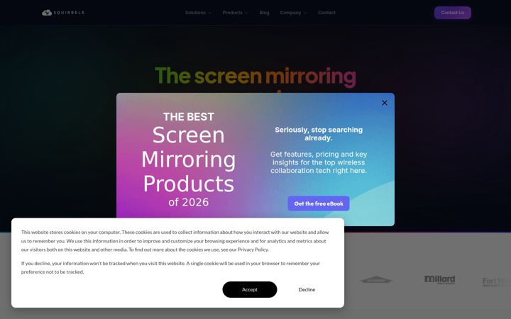 Screenshot of airsquirrels.com