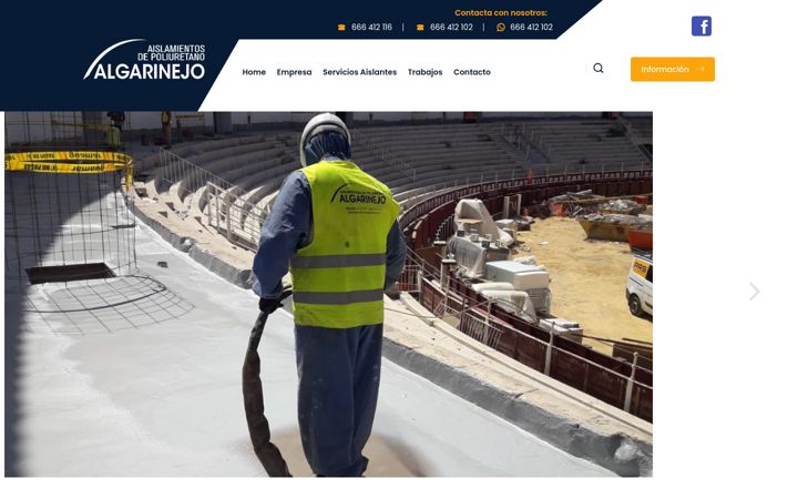 Screenshot of aislamientosalgarinejo.com