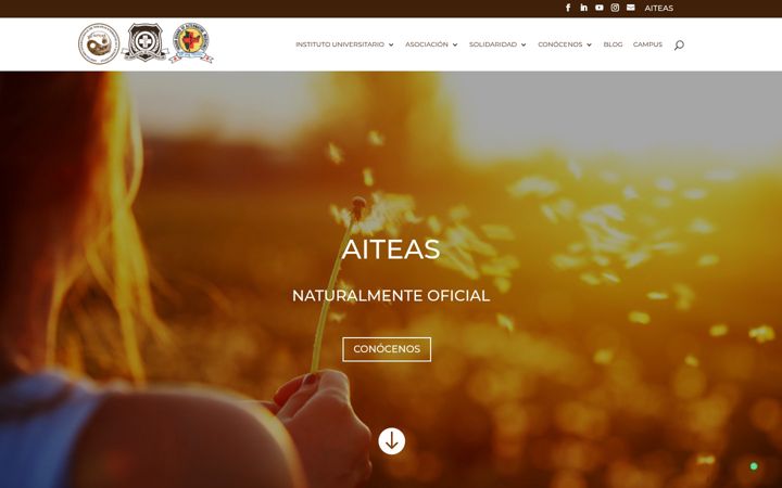Ekraanipilt saidist aiteas.org