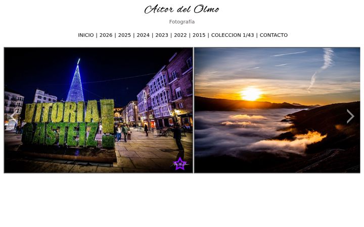 Screenshot of aitordelolmo.com