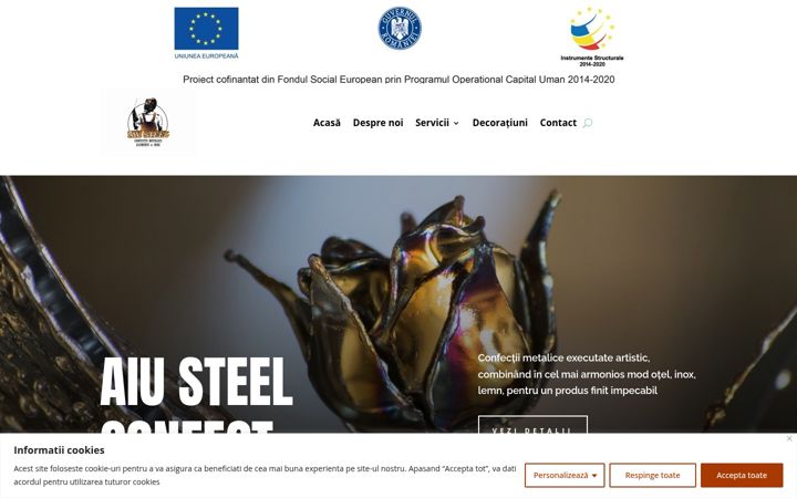 Screenshot of aiusteel.ro