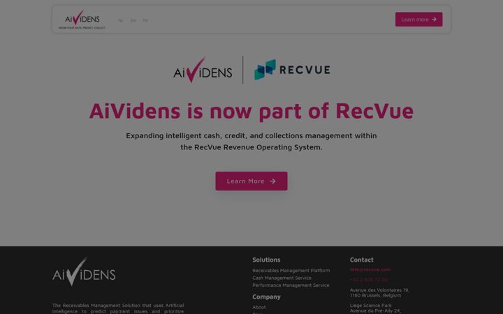 Screenshot of aividens.com