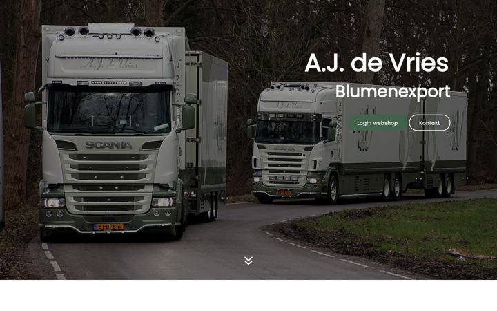 Screenshot of ajdevries.com
