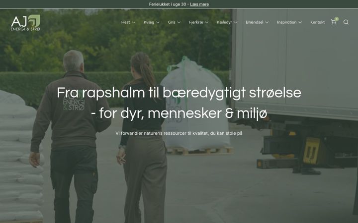 Screenshot of ajenergi.dk