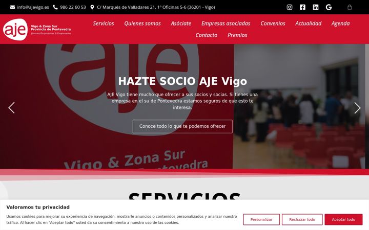 Screenshot of ajevigo.es