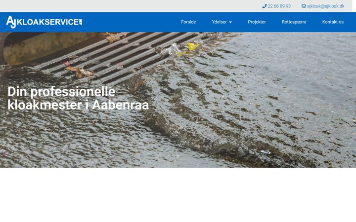 Screenshot of ajkloak.dk