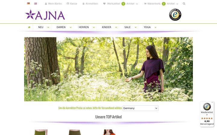 Screenshot of ajna-design.com