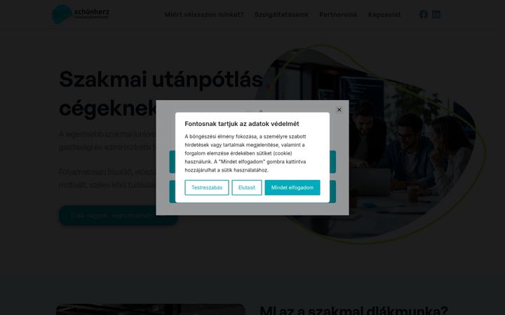 Screenshot of ajovoszakemberei.hu