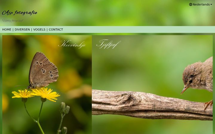 Screenshot of ajpfotografie.nl