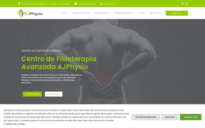 Screenshot stránky ajphysio.es