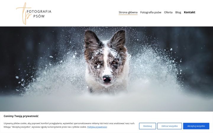 Screenshot of ajriszzona.pl