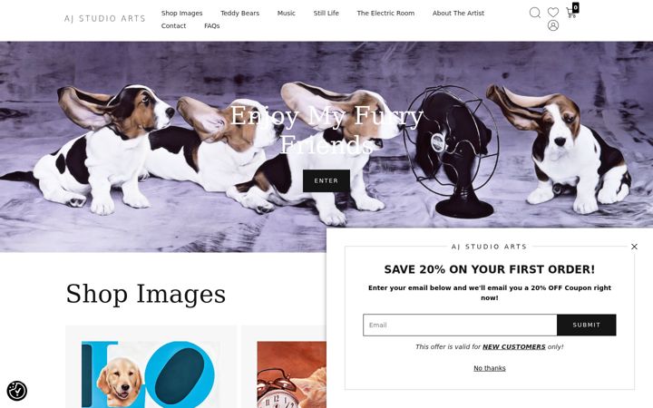 Screenshot of ajstudioarts.com