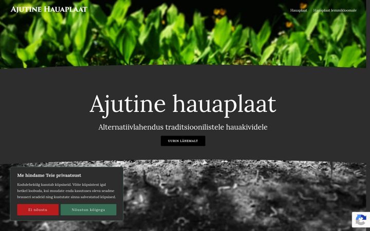 Screenshot of ajutinehauaplaat.ee