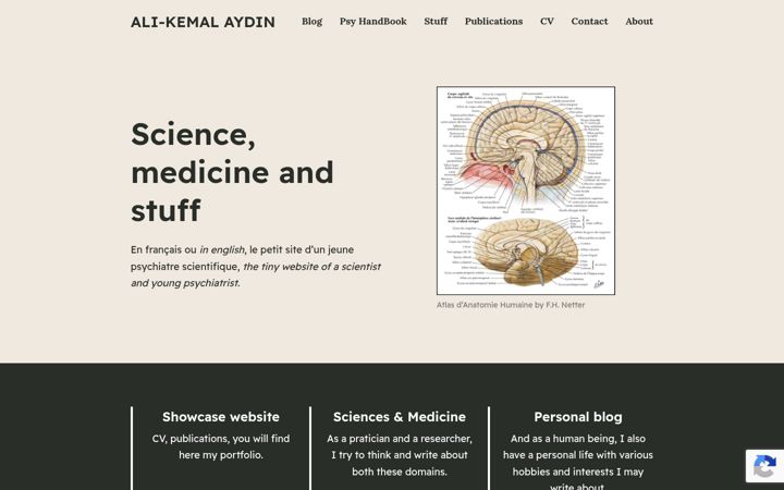 Screenshot of ak-aydin.com