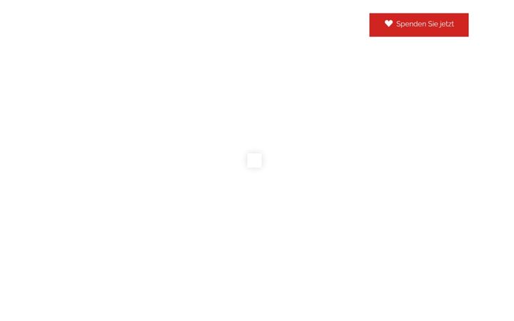 Képernyőkép: ak-stiftung.de