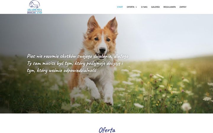 Screenshot of akademiadogoland.com