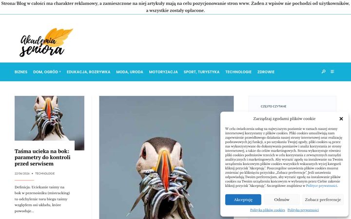 Screenshot of akademiaseniora.edu.pl