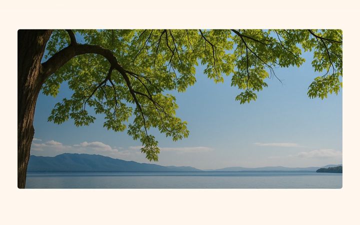 Captura de pantalla de akademie-chiemgau.de