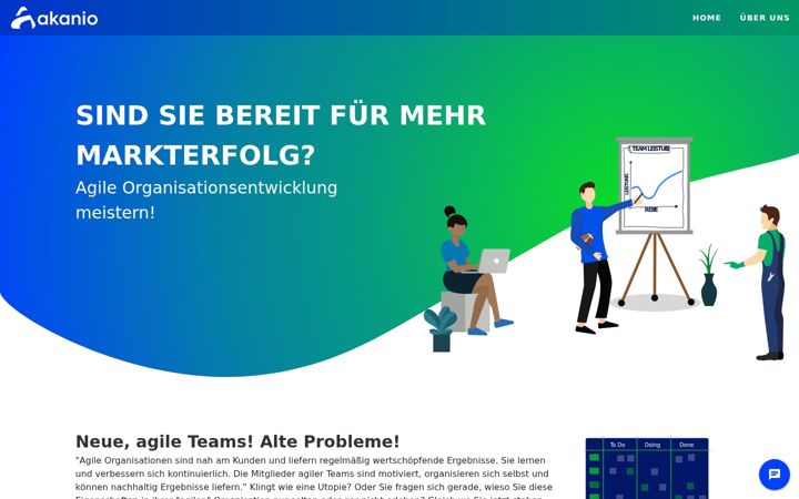 Zrzut ekranu akanio.com