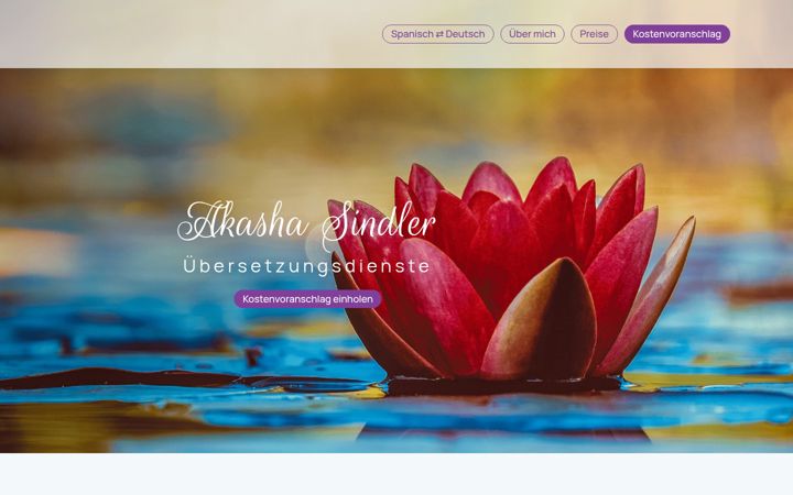 Screenshot of akashasindler.at