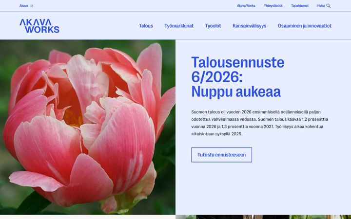 Screenshot van akavaworks.fi