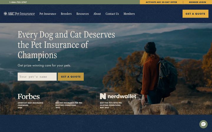 Ekrano kopija akcpetinsurance.com