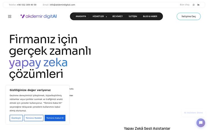 Screenshot of akdemirdigital.com