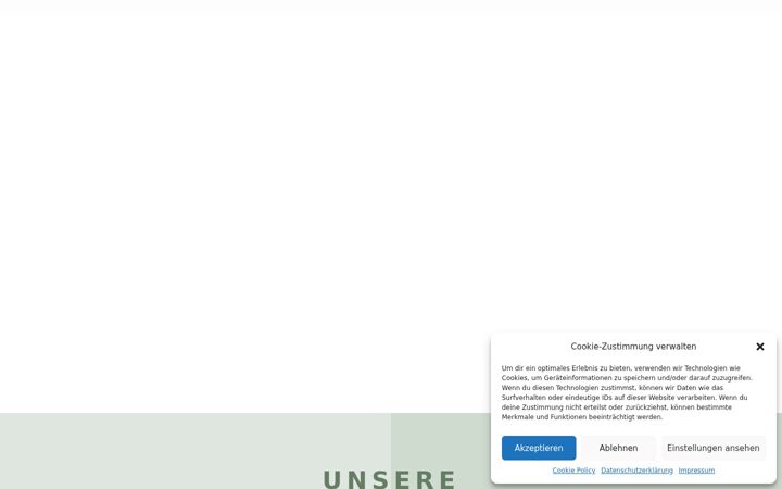 Skærmbillede af akdservice.de