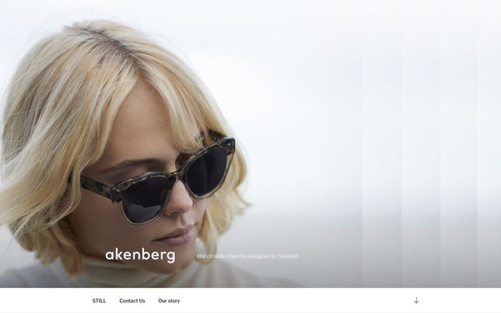Zrzut ekranu akenberg.com