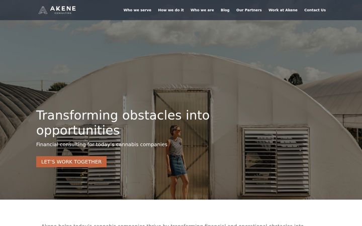 Screenshot of akeneconsulting.com