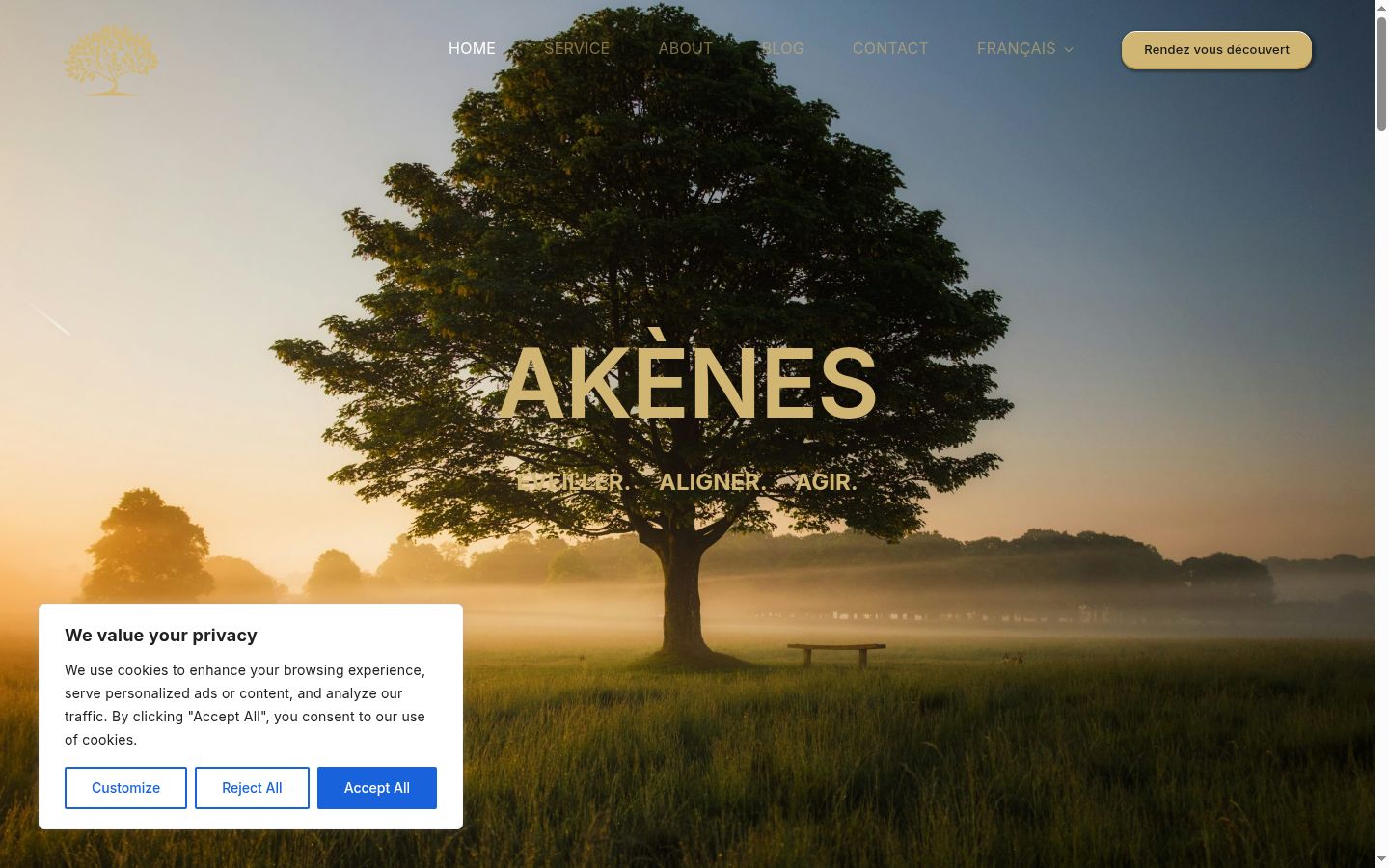 Screenshot of the consent banner shown before any interaction
