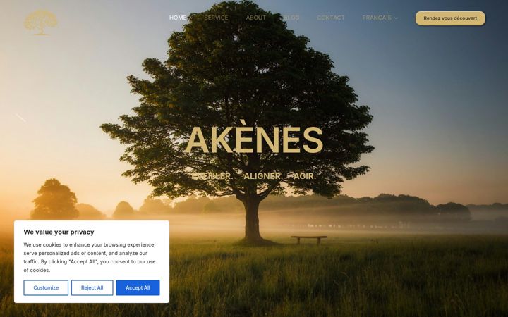 Screenshot of akenes-consulting.com